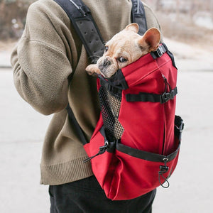 Small dog riding in red adventure pet backpack – side street view