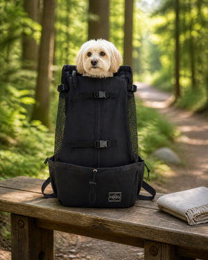 Small cream-colored dog seated in a black hands-free pet carrier backpack on a bench beside a forest trail.